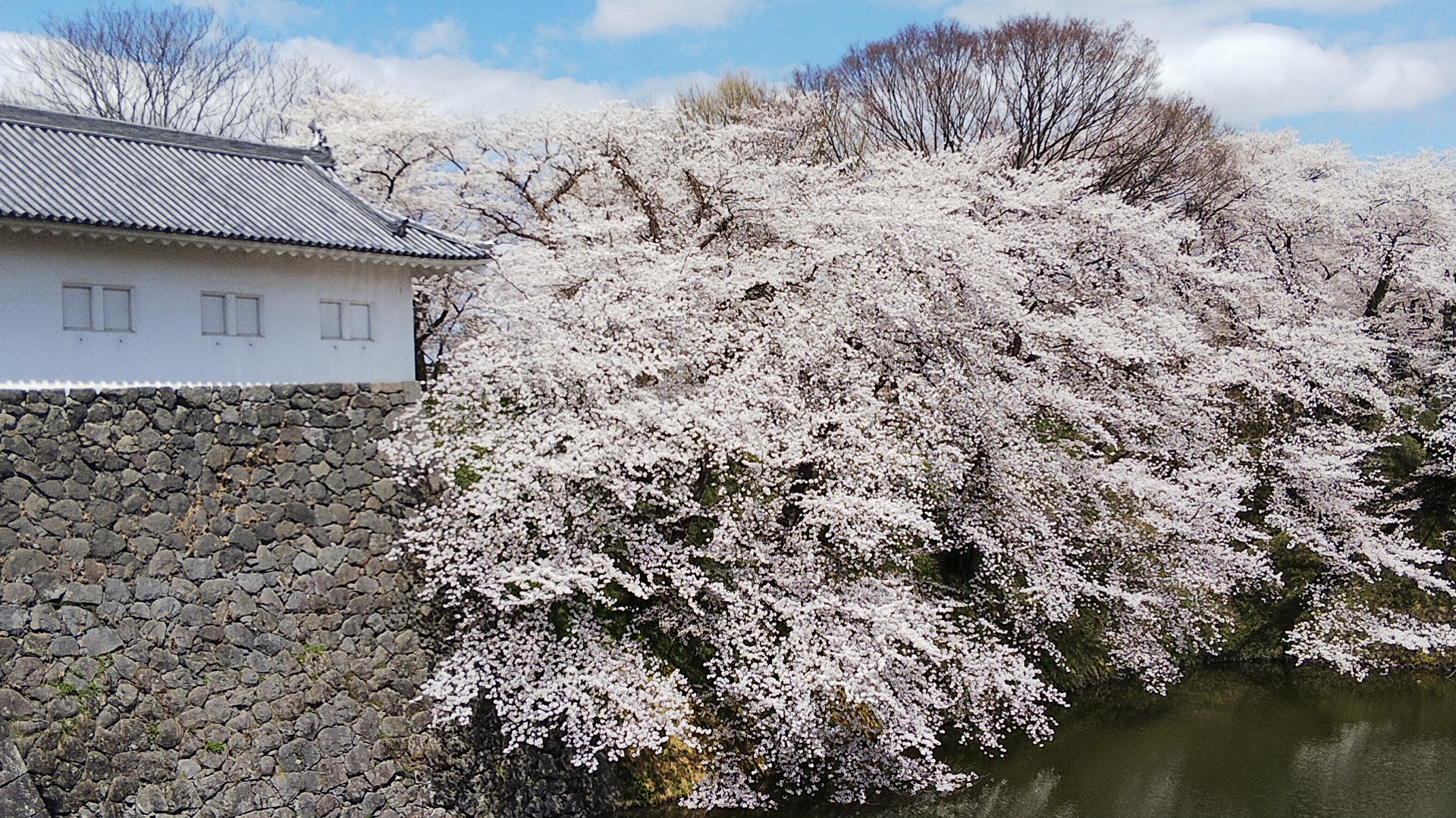 背景用　霞城公園