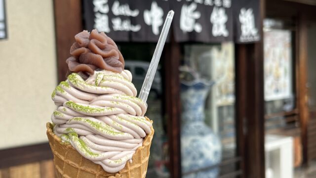Delicious soft serve ice cream from Kaminoyama Onsen