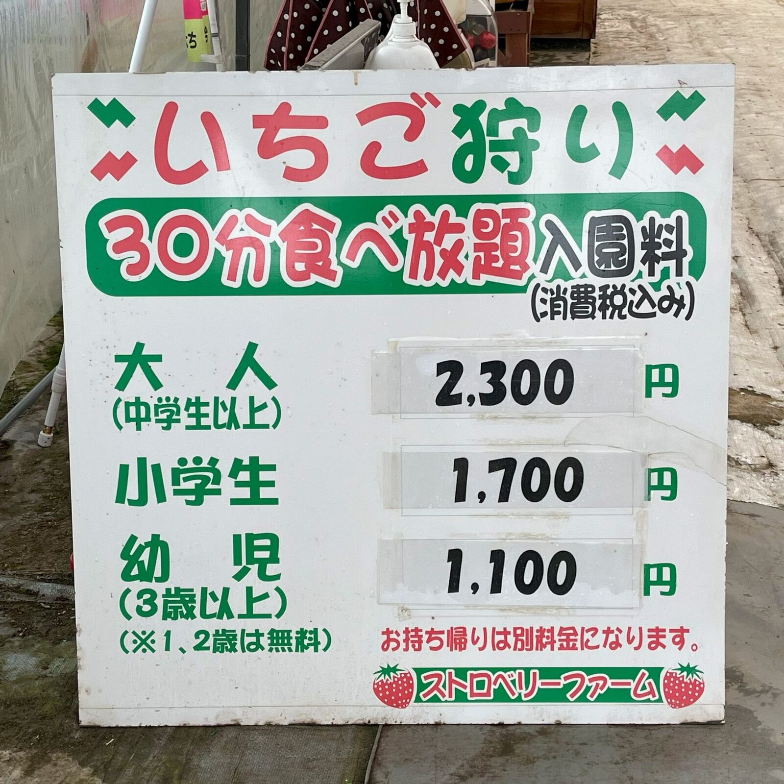 Sagae Strawberry Farm 寒河江 いちご狩り 山形